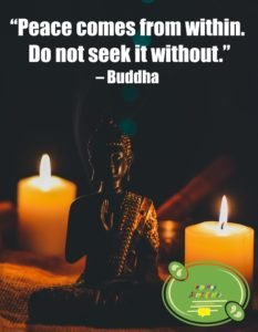meditation quote by buddha