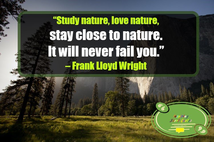 114 Nature Quotes and Sayings